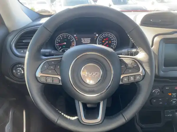 JEEP RENEGADE (9/14)