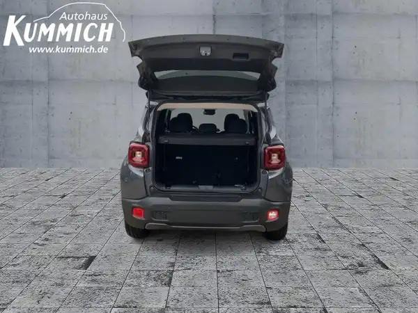 JEEP RENEGADE (13/15)