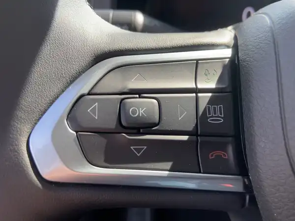 JEEP RENEGADE (14/15)