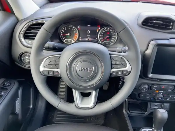JEEP RENEGADE (11/14)