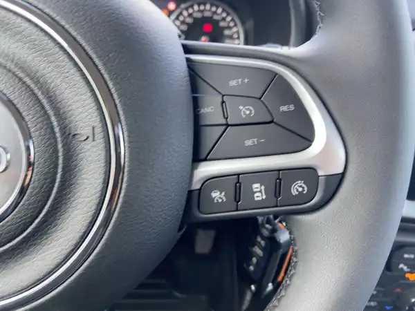 JEEP RENEGADE (13/14)