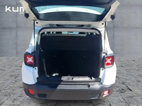 JEEP RENEGADE LONGITUDE (13/15)