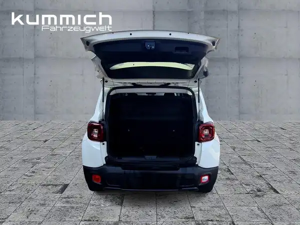 JEEP RENEGADE LIMITED (13/15)
