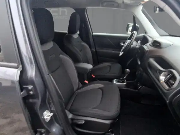 JEEP RENEGADE (11/15)