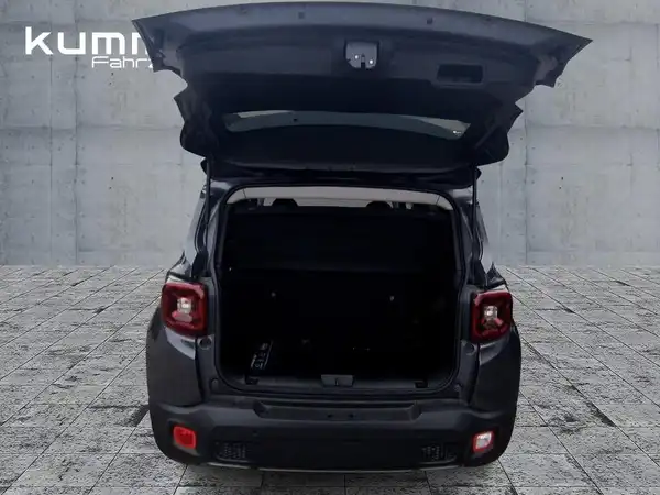 JEEP RENEGADE (13/15)