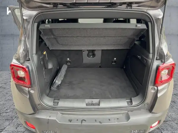 JEEP RENEGADE (13/15)