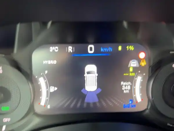 JEEP RENEGADE (14/15)