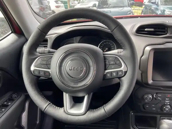 JEEP RENEGADE (10/12)