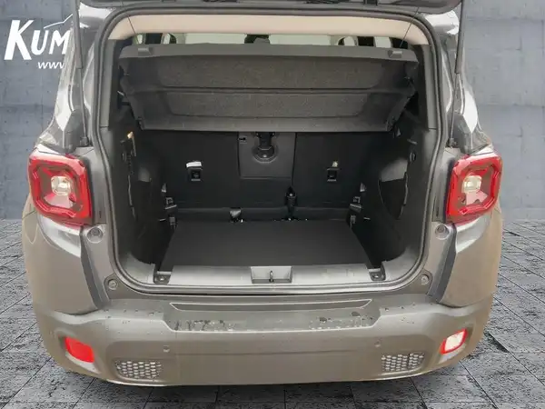 JEEP RENEGADE (13/15)