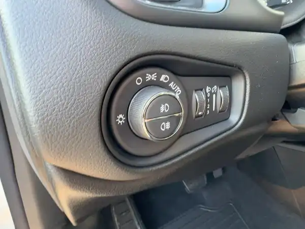 JEEP RENEGADE (14/15)