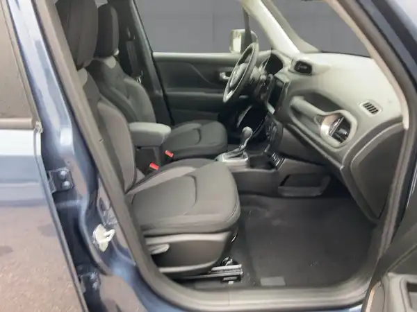 JEEP RENEGADE (11/15)