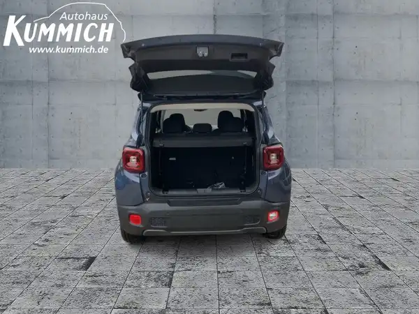 JEEP RENEGADE (13/15)