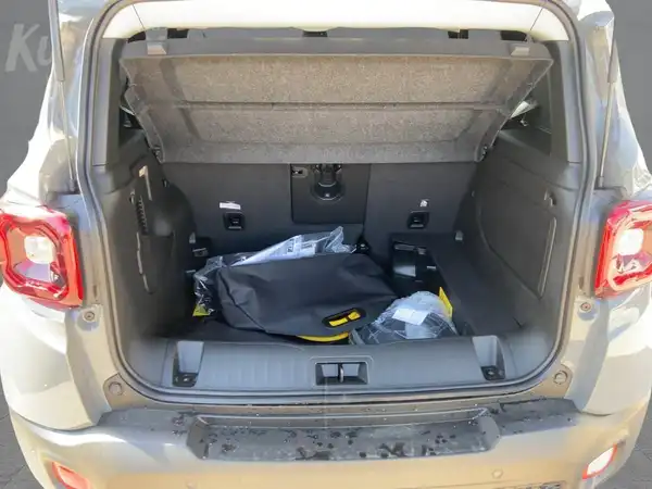 JEEP RENEGADE HIGH UPLAND (13/15)