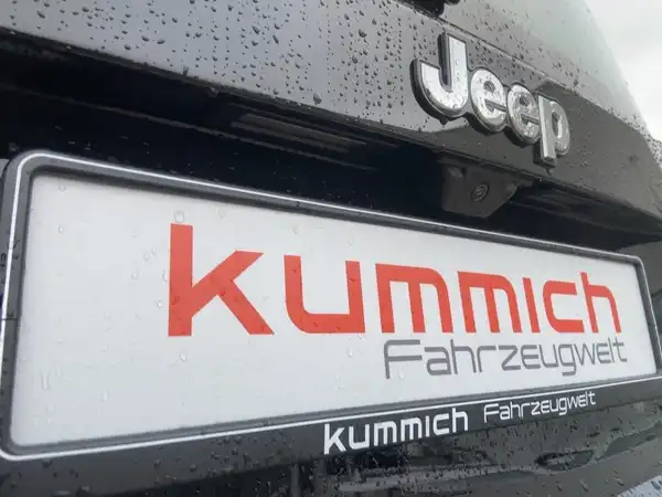 JEEP RENEGADE (14/15)