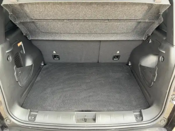 JEEP RENEGADE (13/14)