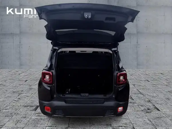JEEP RENEGADE LIMITED (13/15)