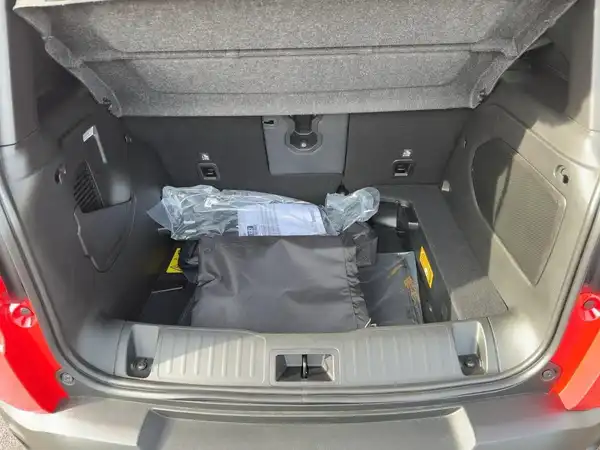 JEEP RENEGADE (13/15)