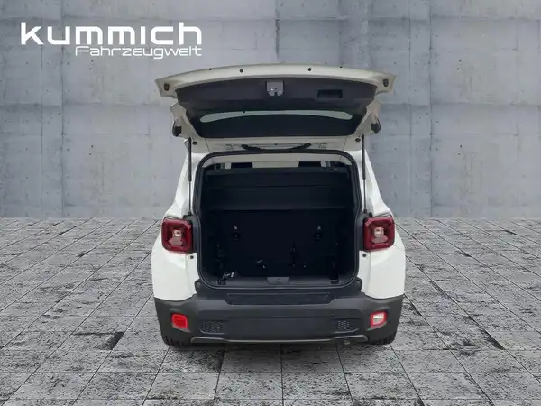 JEEP RENEGADE (13/15)