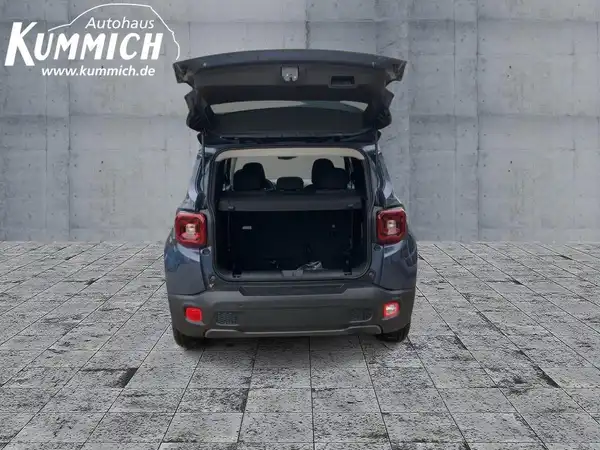 JEEP RENEGADE (13/15)