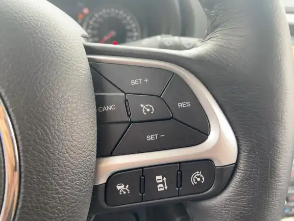 JEEP RENEGADE (14/15)