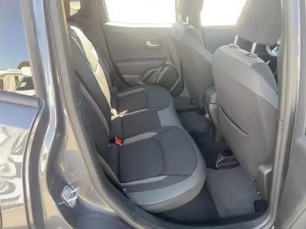 JEEP RENEGADE (12/15)