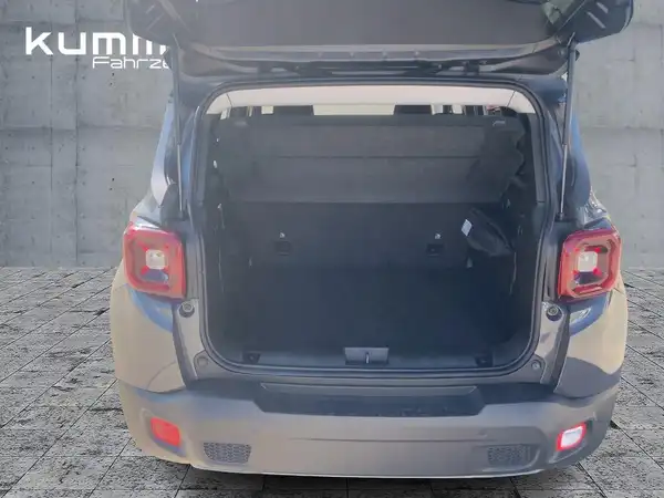 JEEP RENEGADE (13/15)