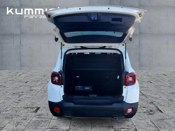 JEEP RENEGADE (13/15)