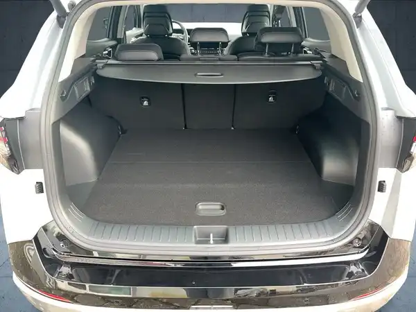 KIA SPORTAGE (14/16)