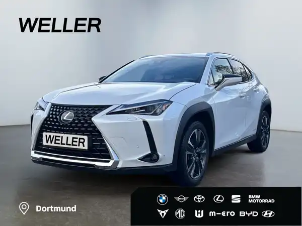 Brugt Lexus Ux 250h