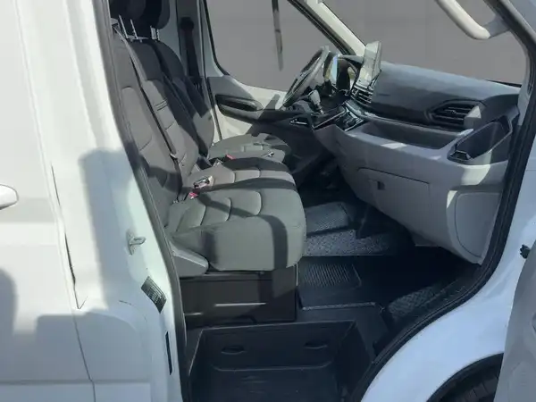 MAXUS DELIVER 9 KASTENWAGEN (11/15)