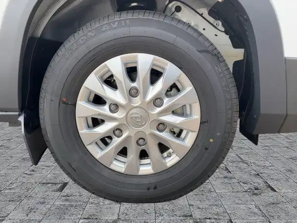 MAXUS EDELIVER 9 KASTENWAGEN (7/15)