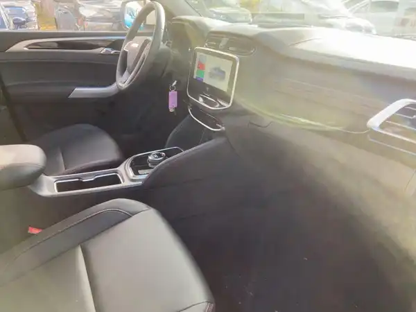 MAXUS T90 EV (11/15)