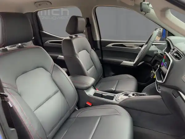 MAXUS T90 EV (11/15)