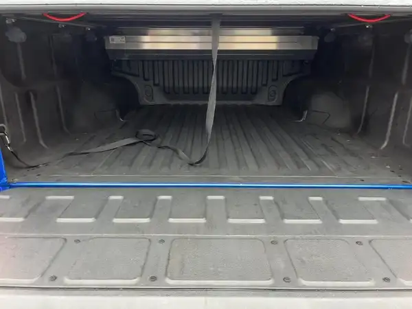 MAXUS T90 EV (13/15)