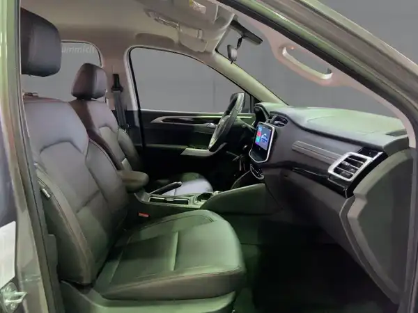 MAXUS T90 EV (11/14)