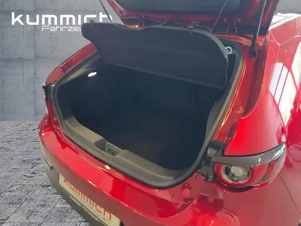 MAZDA 3 HOMURA (13/15)