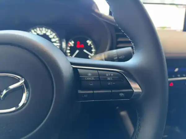 MAZDA 3 HOMURA (14/15)