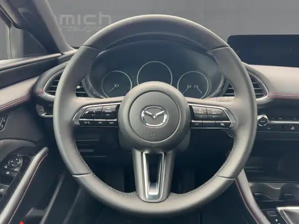 MAZDA 3 HOMURA (9/15)