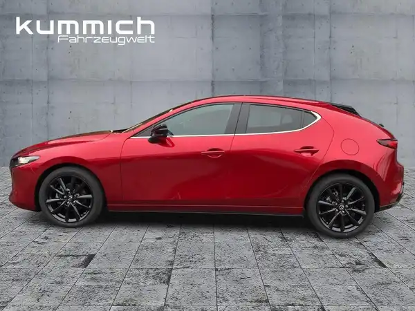 MAZDA 3 HOMURA (6/15)