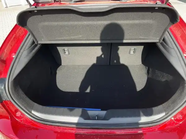 MAZDA 3 HOMURA (13/15)