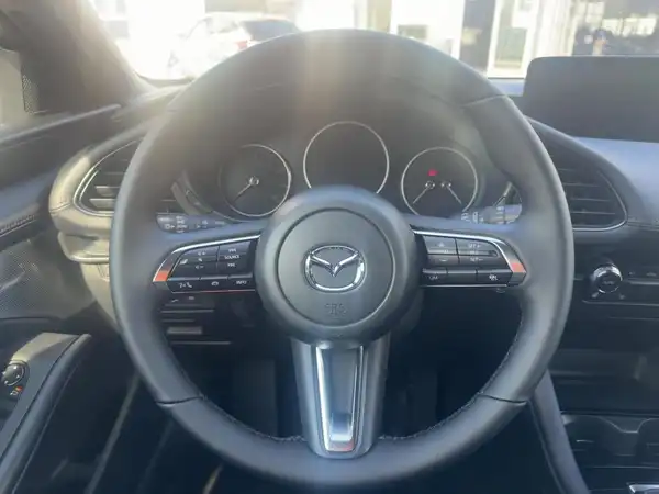 MAZDA 3 HOMURA (9/15)
