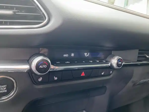 MAZDA CX-30 TAKUMI (14/15)