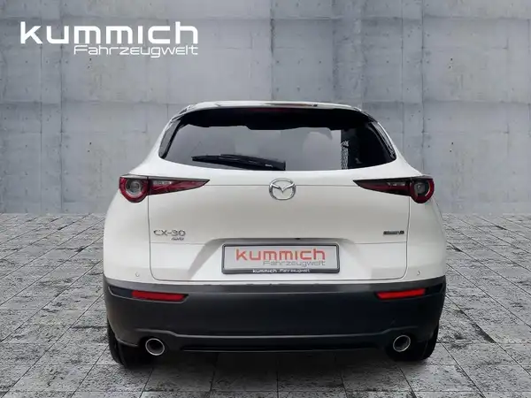 MAZDA CX-30 TAKUMI (5/15)