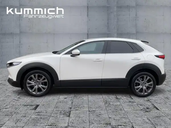 MAZDA CX-30 TAKUMI (6/15)
