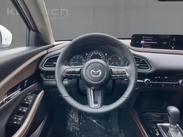 MAZDA CX-30 TAKUMI (9/15)