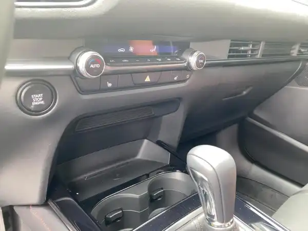 MAZDA CX-30 NAGISA (14/15)