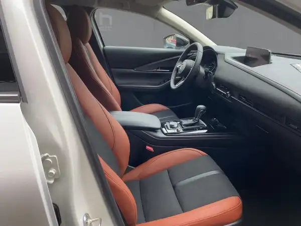 MAZDA CX-30 NAGISA (11/15)