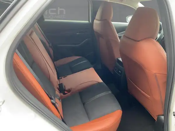 MAZDA CX-30 NAGISA (12/15)