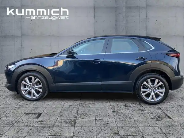 MAZDA CX-30 (6/15)