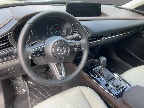 MAZDA CX-30 TAKUMI (5/13)